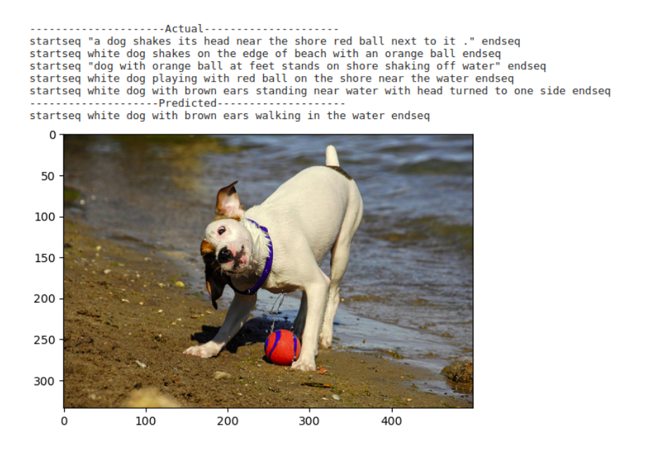 Your Image Description